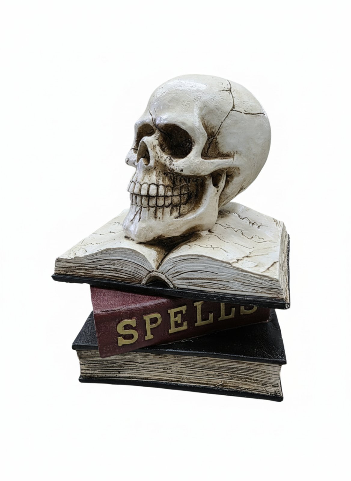 Череп книга