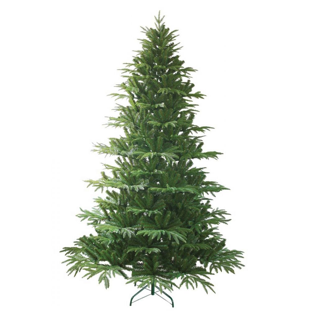 Ялина Слов'янка лита 2,7м