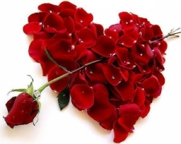 День св. Валентина або День усіх закоханих