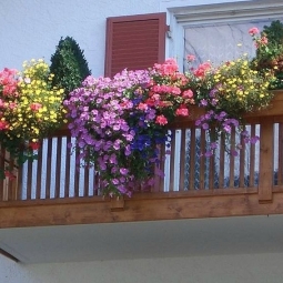 Прикрашаємо балкон квітами