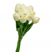 Тюльпан, білий (32 см)