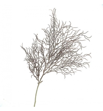 Испанский мох, куст оливково-серый (70 см.)