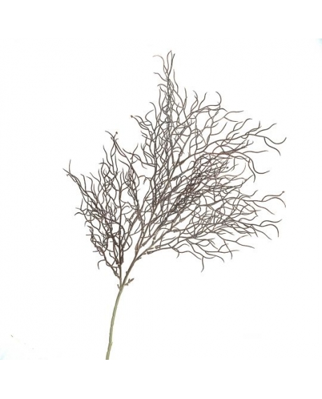 Испанский мох, куст оливково-серый (70 см.)