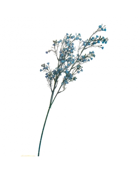 Гілка сухоцвіту польового, колір - синій (68 см)