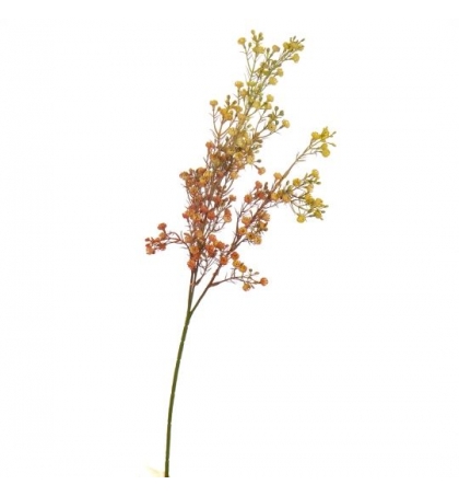 Ветка сухоцвета полевого, цвет - желтый (68 см.)