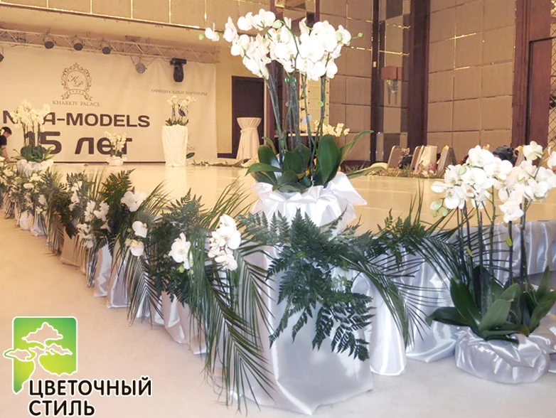 Участь у ювілеї модельного агентства