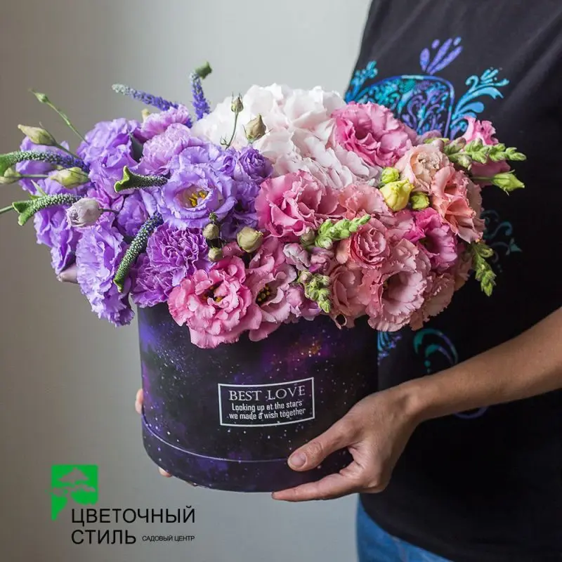 композиція №314