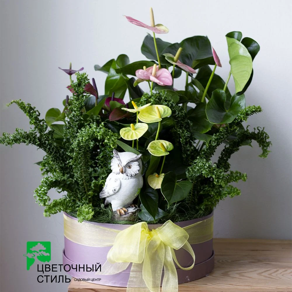 композиція №95 — Квітковий стиль, Харків