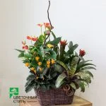 композиція №96 — Квітковий стиль, Харків