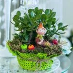 Композиція з кактусів та сукулентів № 25 — Квітковий стиль, Харків