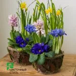 Композиція з первоцвітів №5 — Квітковий стиль, Харків