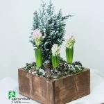 Композиція з цибулинних №2 — Квітковий стиль, Харків