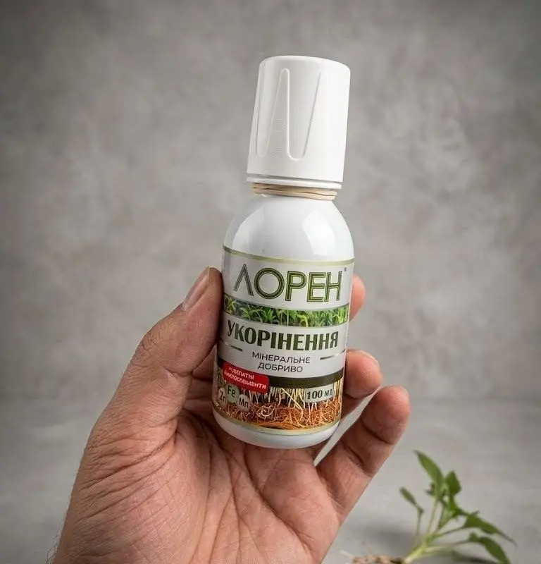 Лорен укорінення 0,1л